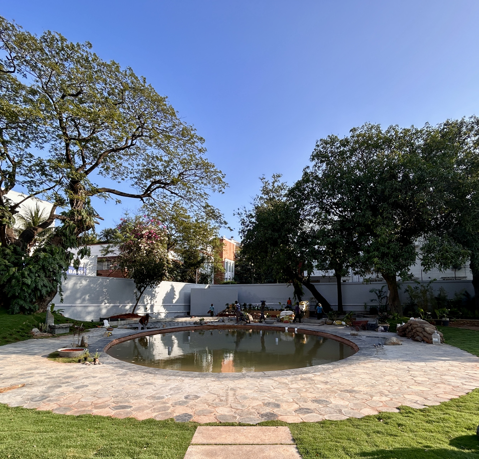 Pond and reed garden at D'Silva road, Chennai